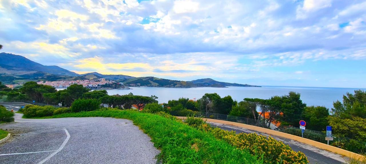 Studio *** "Thalabanyuls" - Vue Mer - Balcon Dış mekan fotoğraf