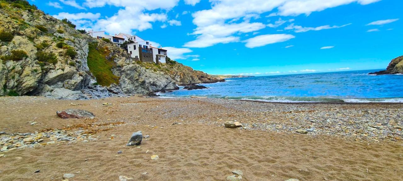 Studio *** "Thalabanyuls" - Vue Mer - Balcon Dış mekan fotoğraf