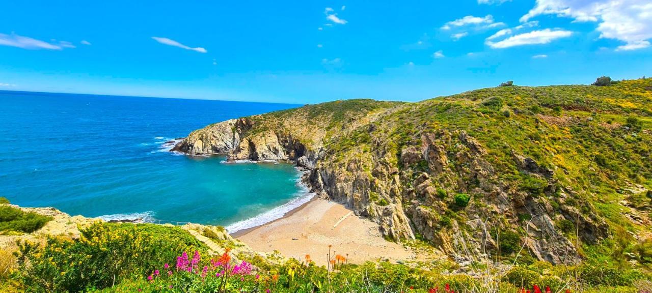 Studio *** "Thalabanyuls" - Vue Mer - Balcon Dış mekan fotoğraf